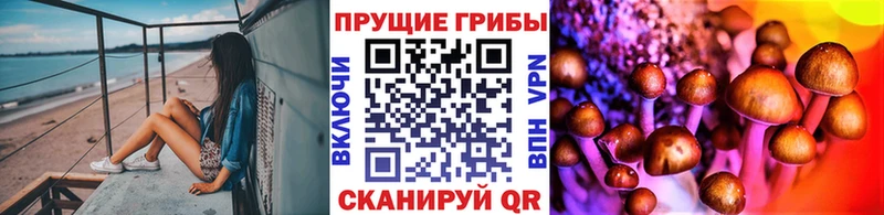 Псилоцибиновые грибы прущие грибы  blacksprut ССЫЛКА  Павловская 